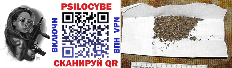 Купить  Колпашево  Галлюциногенные грибы мицелий 